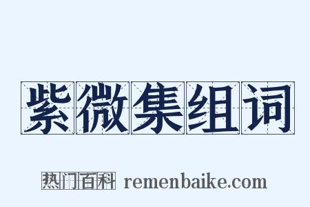 紫微集组词是什么意思的图片